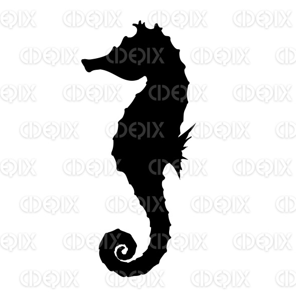Seahorse Silhouette Illustration | Cidepix