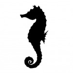 image 10792
